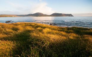 Nexans to link the Orkney Islands to the Scottish mainland