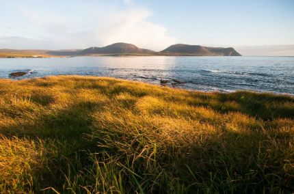 Nexans to link the Orkney Islands to the Scottish mainland